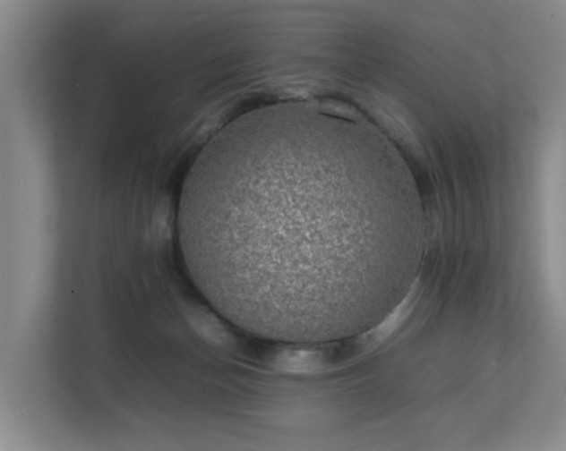 X0000111350174200907101217