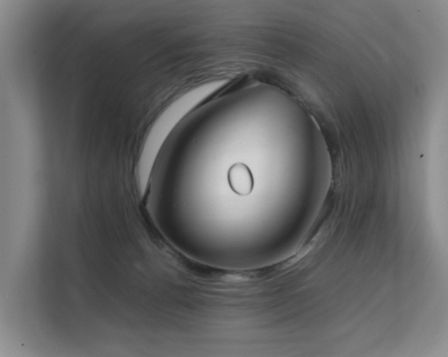 X0000111350176200907101217