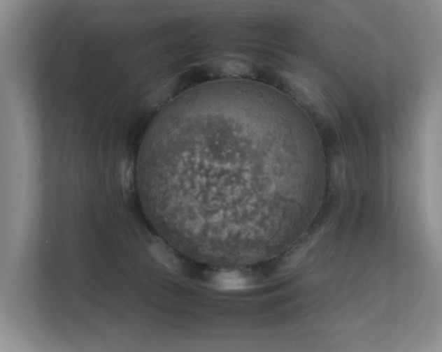 X0000111350177200907101217