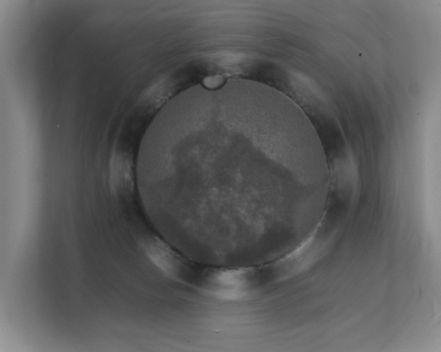 X0000111350178200907101217