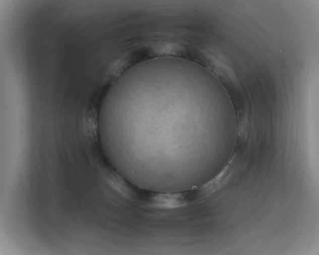 X0000111350179200907101217