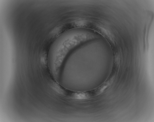 X0000111350181200907101217