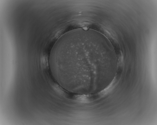 X0000111350182200907101217