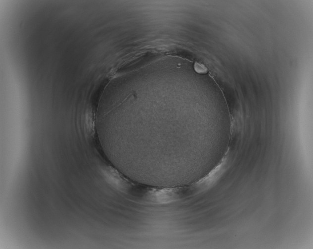 X0000111350186200907101218