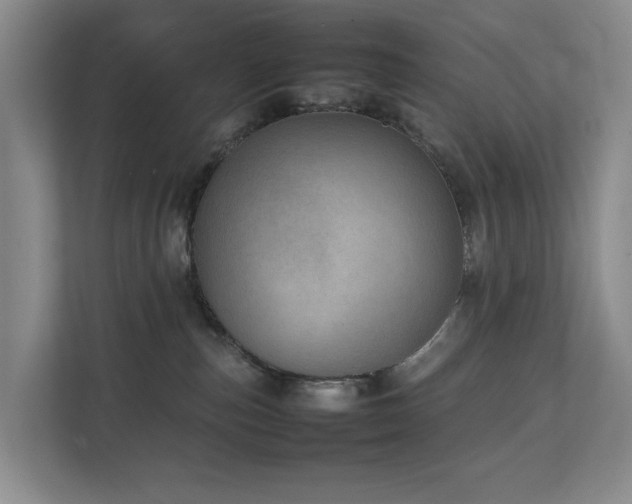 X0000111350187200907101218