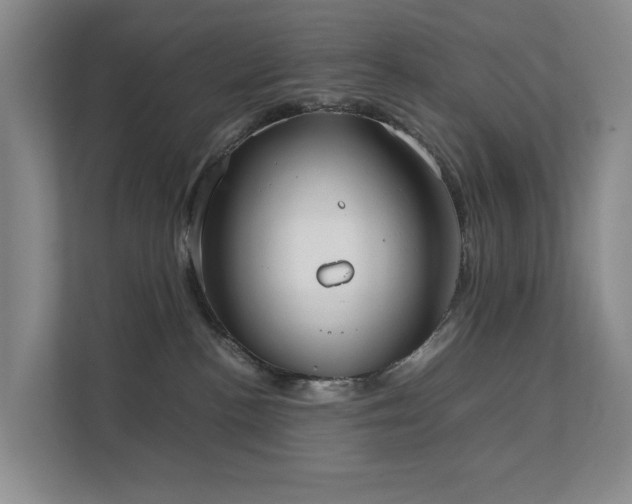 X0000111350188200907101218