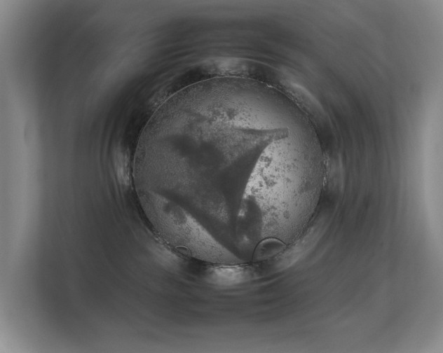 X0000111350189200907101218