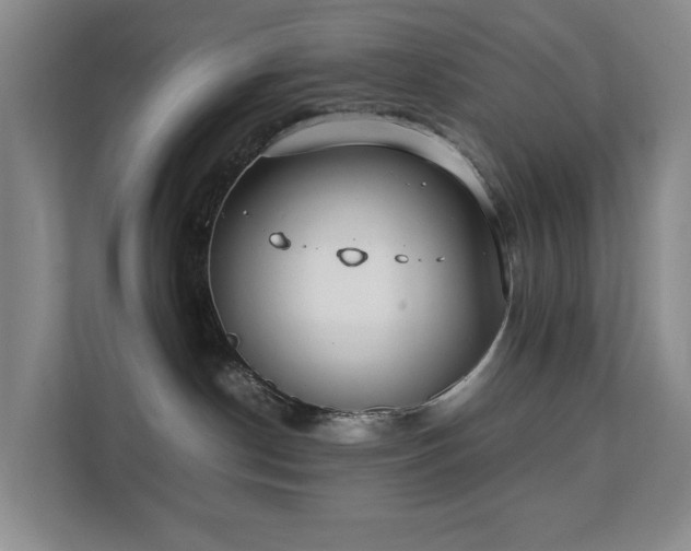 X0000111350190200907101218