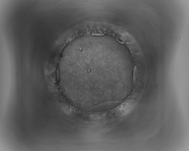 X0000111350192200907101218