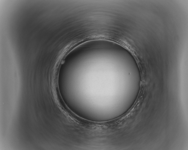 X0000111350193200907101217