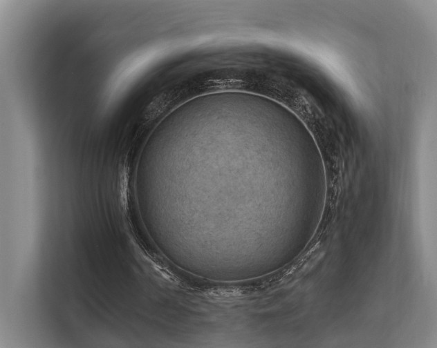 X0000111350194200907101217