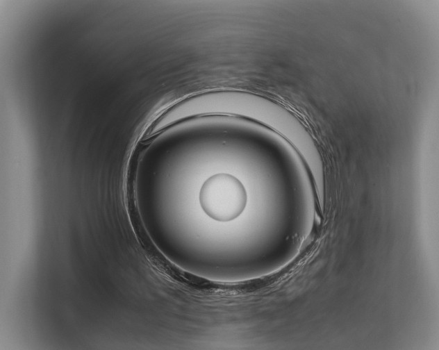 X0000111350195200907101217