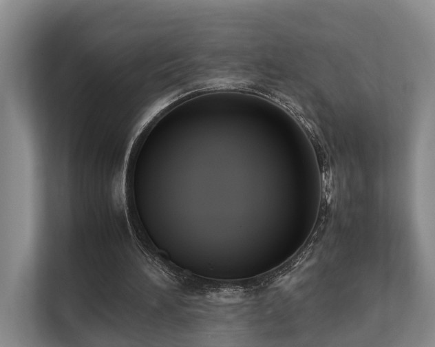 X0000111350196200907101217