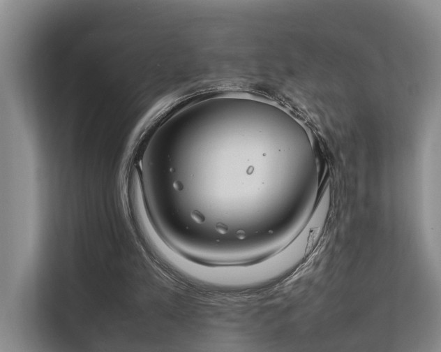 X0000111350197200907101217