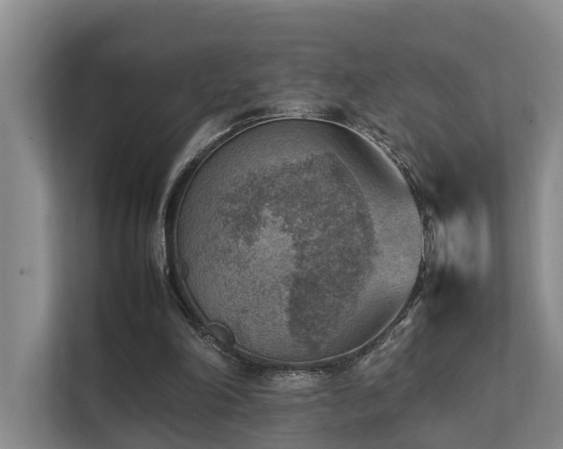 X0000111350198200907101217