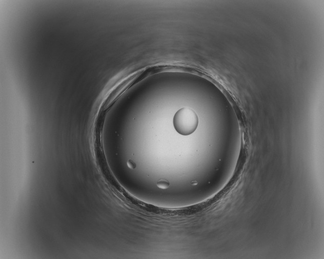 X0000111350199200907101217