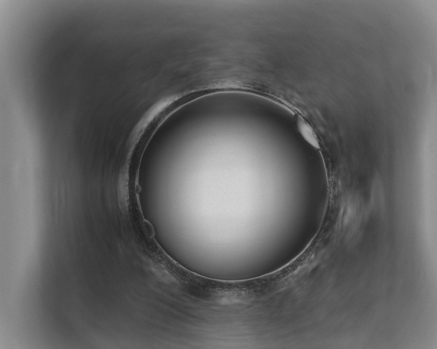 X0000111350200200907101217