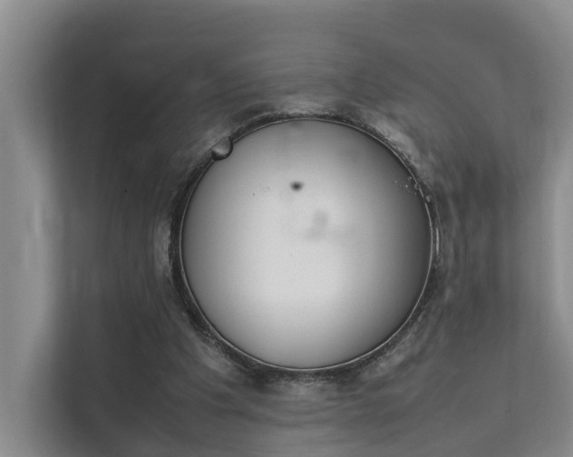 X0000111350201200907101217