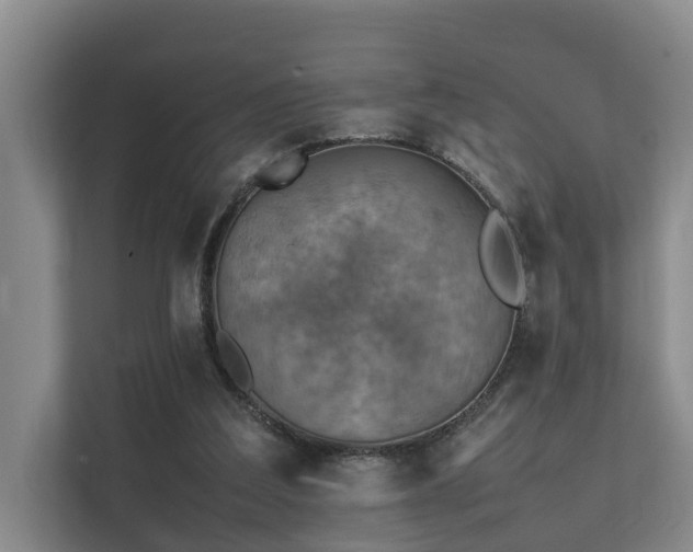 X0000111350203200907101217