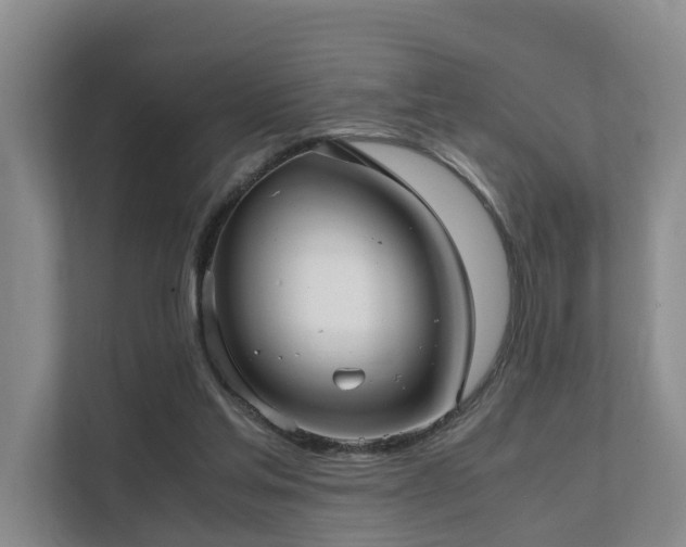 X0000111350205200907101217