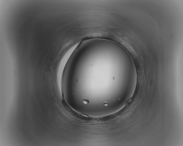 X0000111350207200907101217