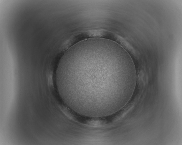 X0000111350209200907101217