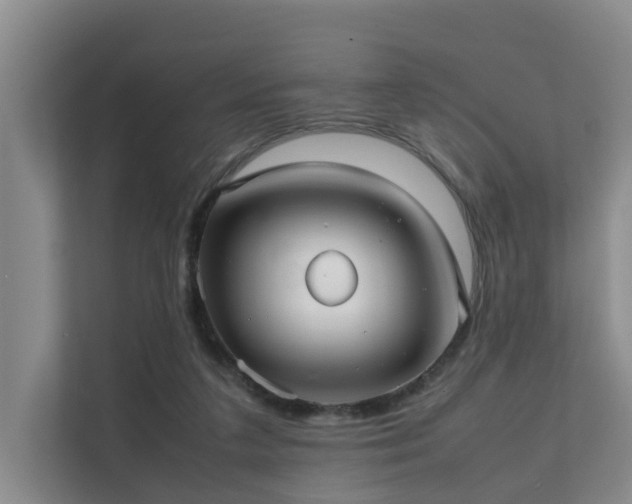 X0000111350211200907101217