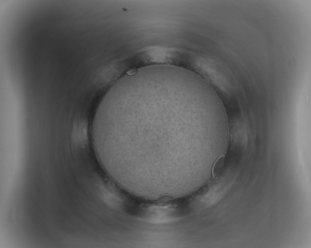 X0000111350213200907101217