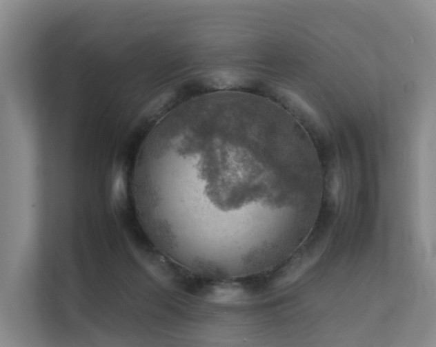 X0000111350214200907101217