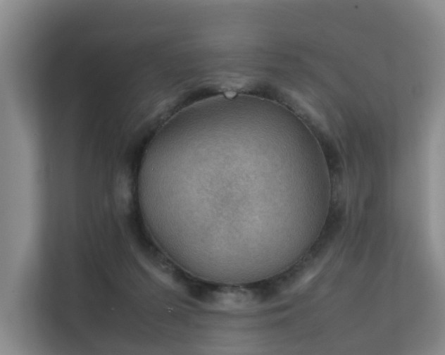 X0000111350215200907101217