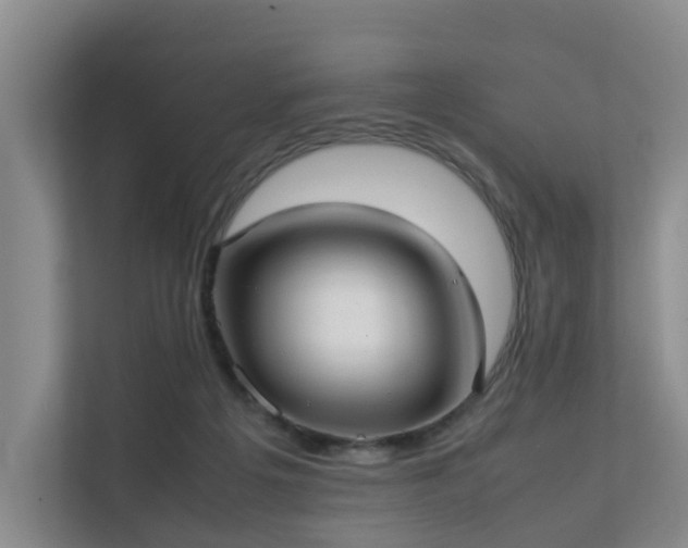 X0000111350217200907101217