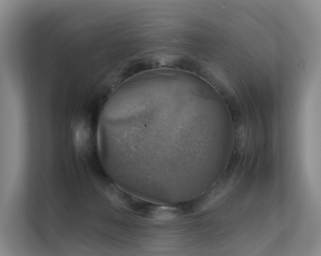 X0000111350222200907101216