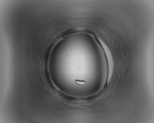 X0000111350223200907101216