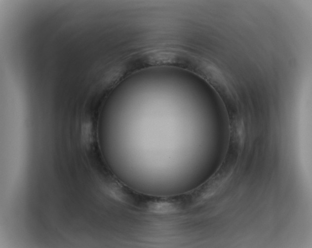 X0000111350224200907101216