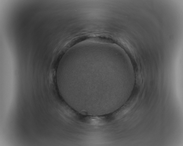 X0000111350229200907101216