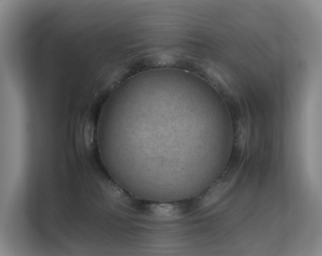 X0000111350230200907101216