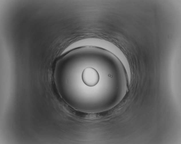 X0000111350231200907101216