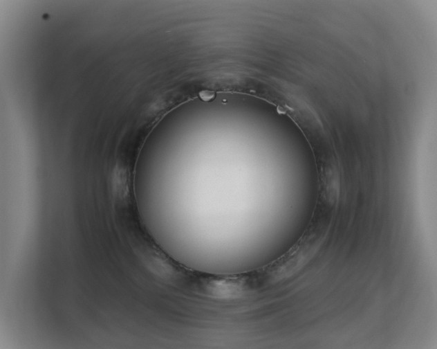 X0000111350232200907101216