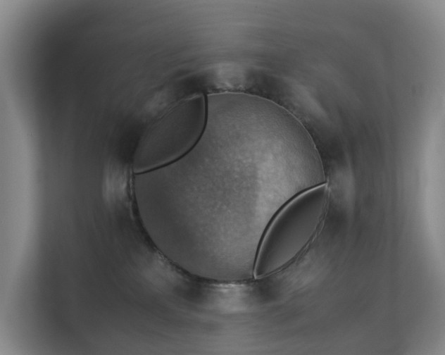 X0000111350233200907101216