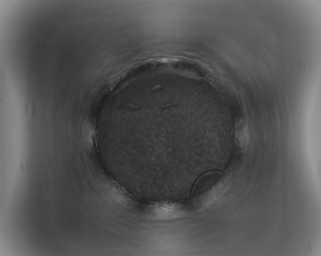 X0000111350235200907101216