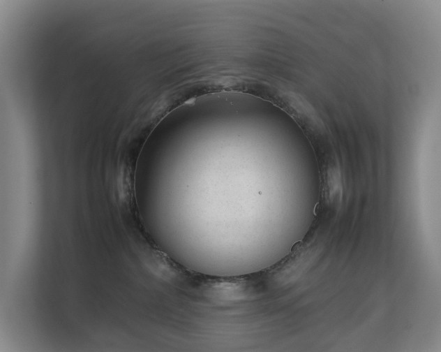 X0000111350236200907101216