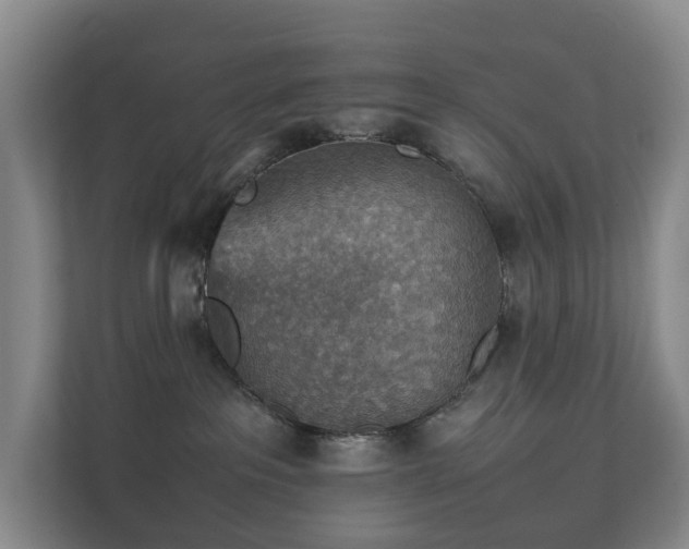 X0000111350237200907101216