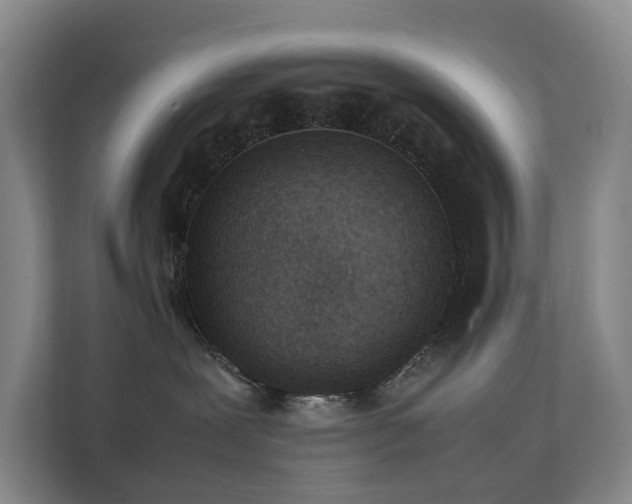 X0000111350239200907101216