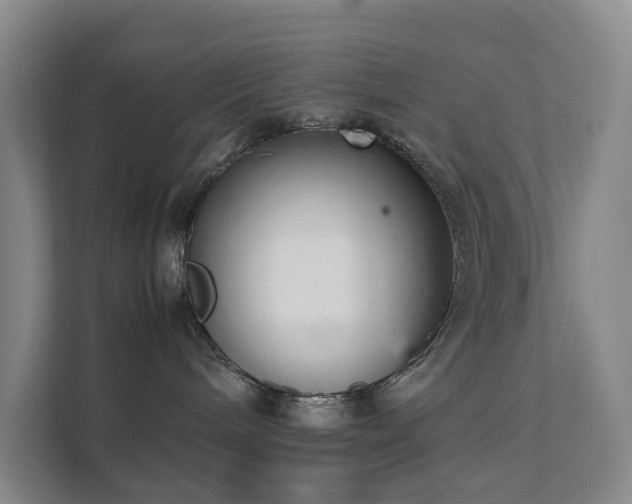 X0000111350240200907101216