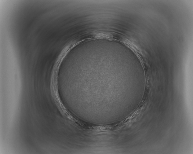 X0000111350241200907101216