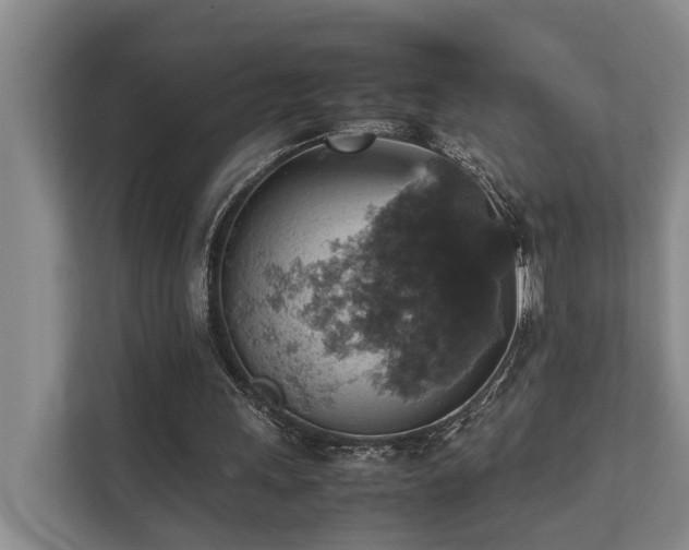 X0000111350243200907101216