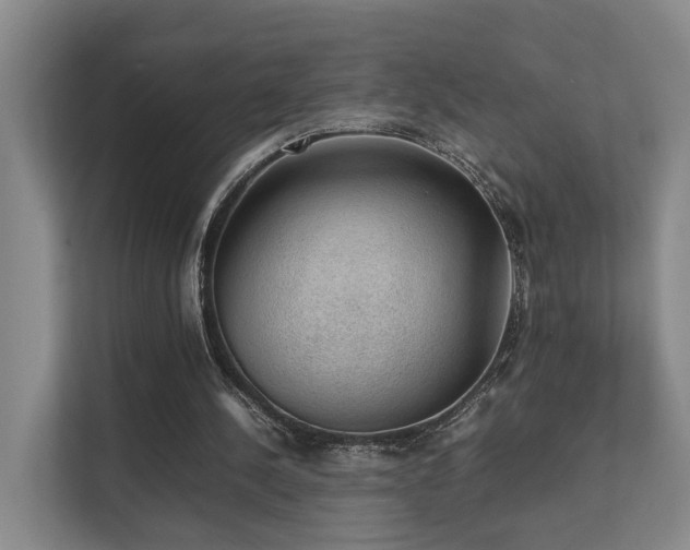 X0000111350244200907101216