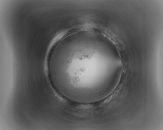 X0000111350245200907101216