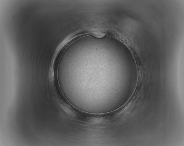 X0000111350246200907101216