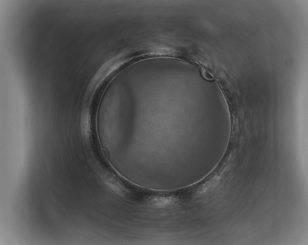 X0000111350247200907101216